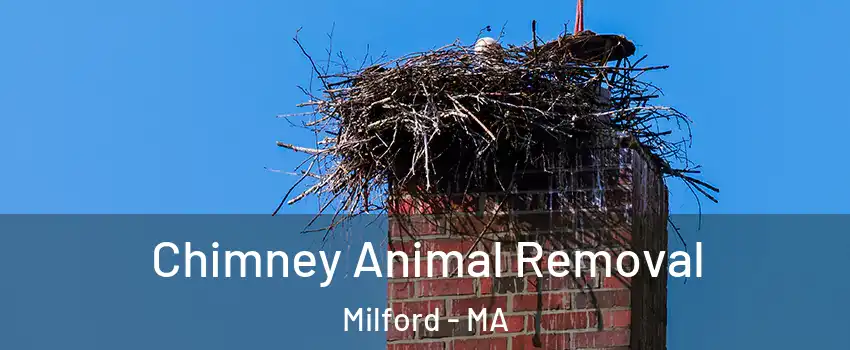 Chimney Animal Removal Milford - MA