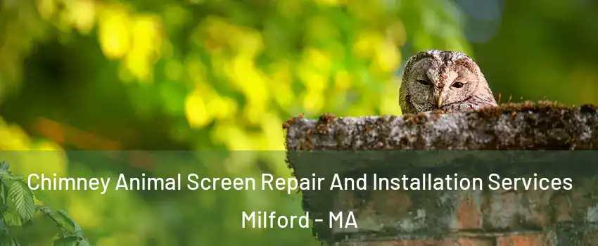  Chimney Animal Screen Repair And Installation Services Milford - MA