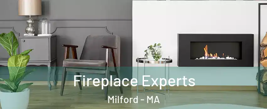  Fireplace Experts Milford - MA