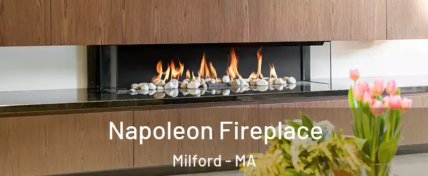  Napoleon Fireplace Milford - MA