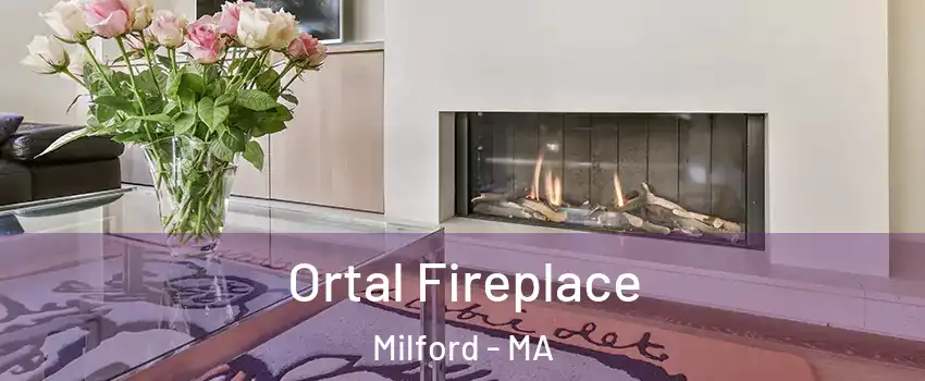 Ortal Fireplace Milford - MA